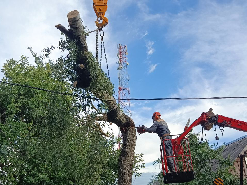 Энергетики Чаусского района устраняют последствия стихии