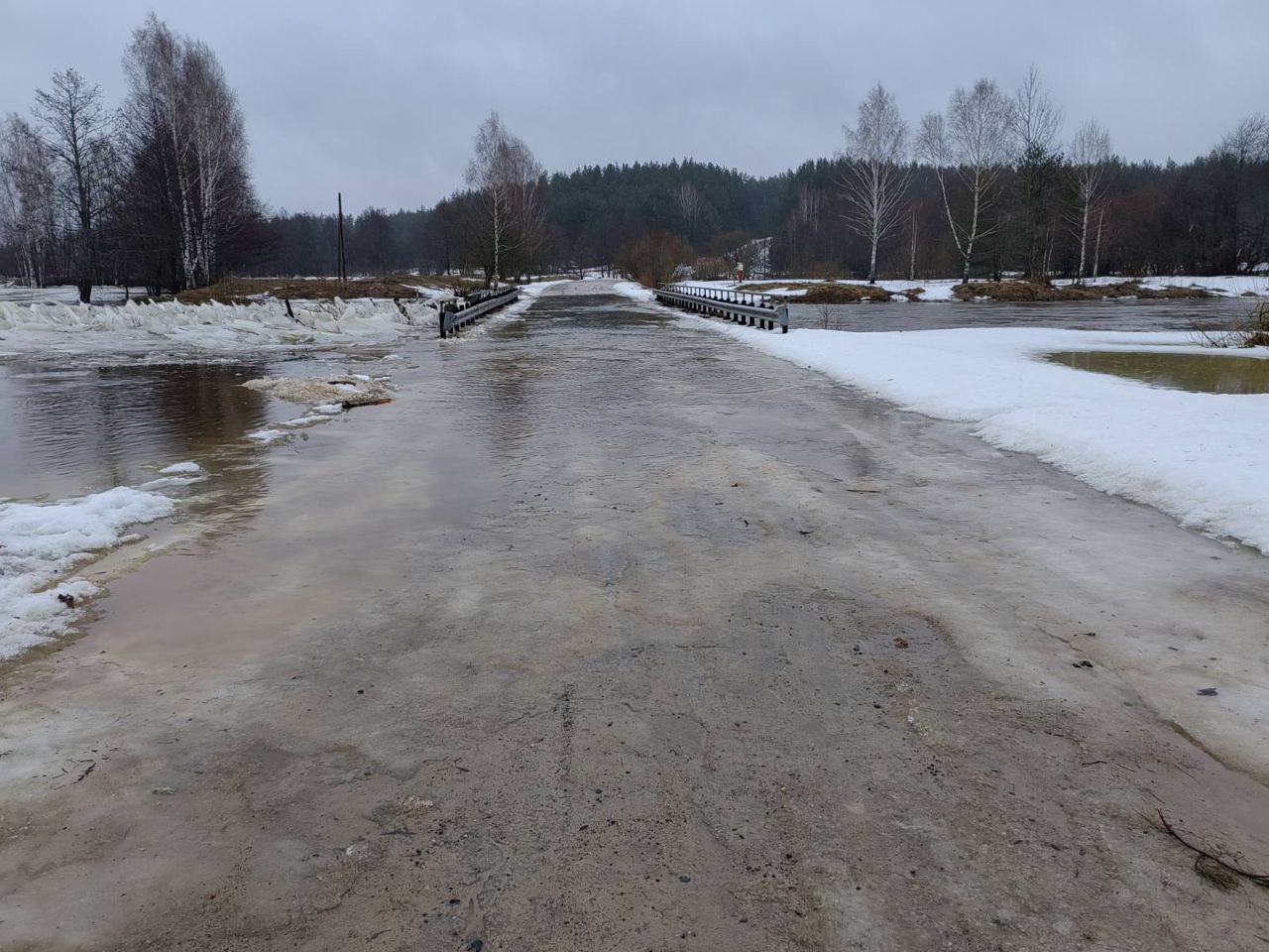 В Чаусском районе подтоплен мост в деревне Скварск, нет прохода по пешеходному мосту в микрорайон Заречье