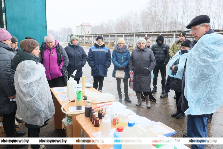 Вопросы сохранности скота обсудили на районном семинаре в Чаусском районе